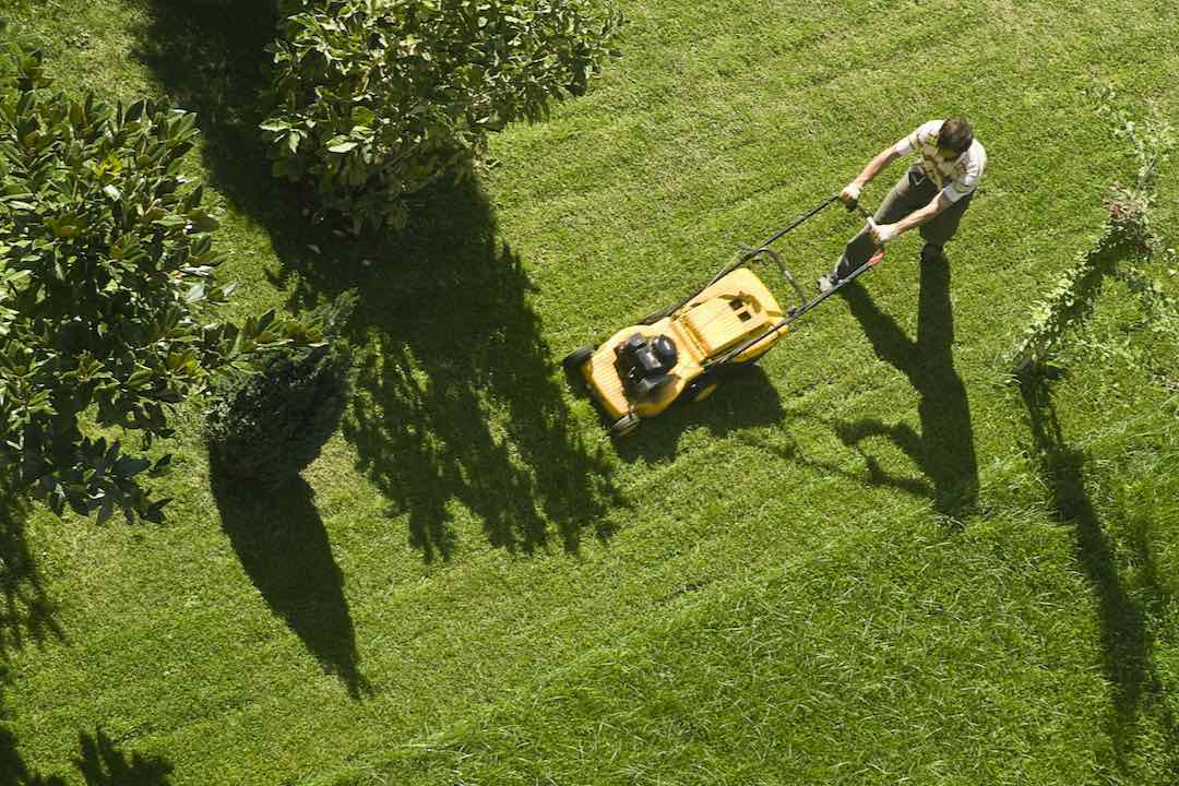 mowing lawn with push mower